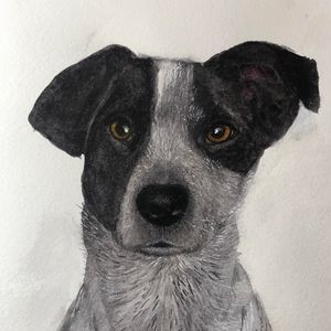 Meet your Posher, Lynn